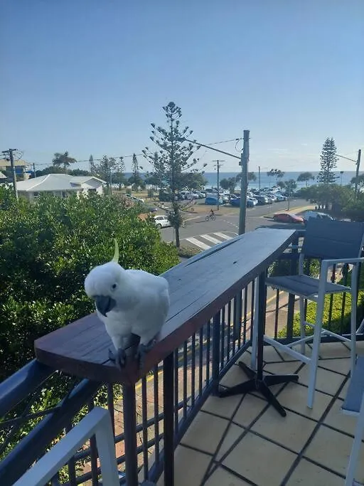 Beachfront Bliss Apartment Gold Coast